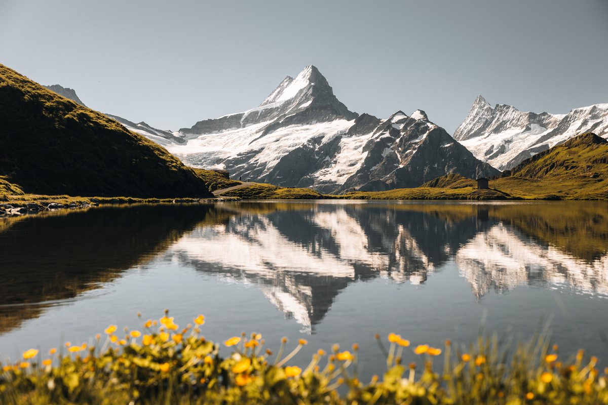 Bachalpsee mit Schreckhorn